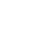 Seguridad Icon